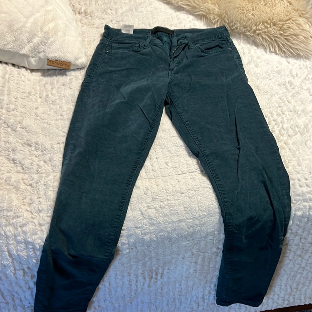 Teal Joe’s ankle pants